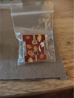 Autumn Leaves pin- Red H- For Hat Jacket Vest Backpack Bag - School -NEW